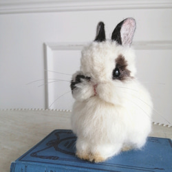 1_9758ed7a510e2a7405bba47b849b