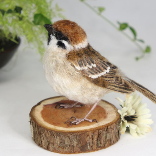羊毛フェルト】雀 怒る☆鳥☆野鳥 羊毛フェルト