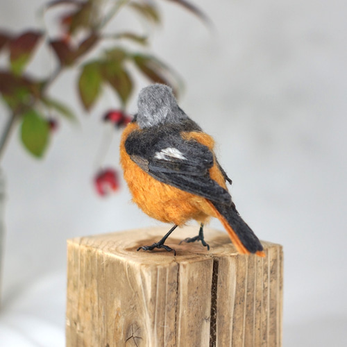 野鳥＊羊毛フェルト ジョウビタキ（オス） 羊毛フェルト 森羊の