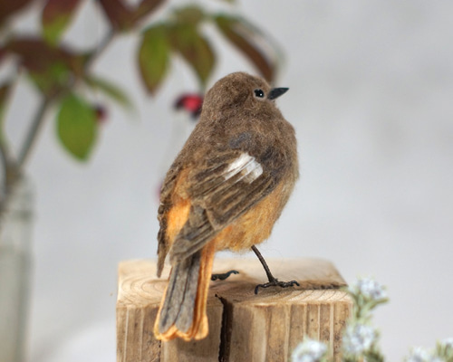 野鳥＊羊毛フェルト ジョウビタキ（メス） 羊毛フェルト 森羊の