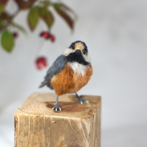 野鳥＊羊毛フェルト ヤマガラ 羊毛フェルト 森羊のクーシャ(cuusha