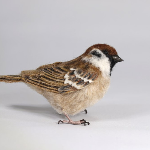 野鳥＊羊毛フェルト スズメ 羊毛フェルト 森羊のクーシャ(cuusha