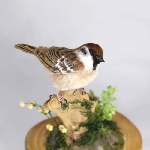 野鳥＊羊毛フェルト スズメ 羊毛フェルト 森羊のクーシャ(cuusha