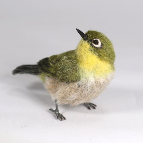 野鳥＊羊毛フェルト メジロ 羊毛フェルト 森羊のクーシャ(cuusha