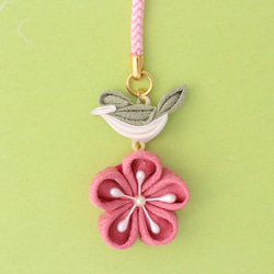 Obi-dome 夜鶯和李子 第1張的照片