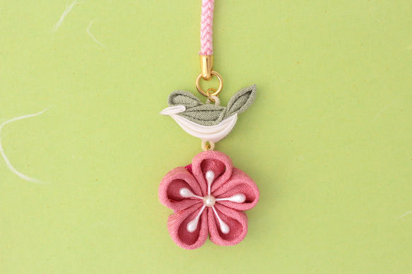 Obi-dome 夜鶯和李子 第1張的照片