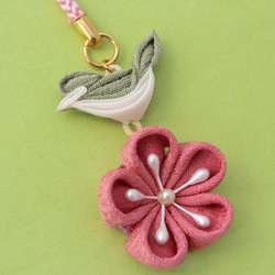 Obi-dome 夜鶯和李子 第3張的照片