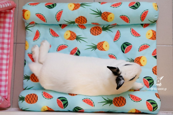 ゴロゴロクッション(ウサギ,ギニーピッグ,ハリネズミ用ベッド)-ピンクウサギ 9枚目の画像