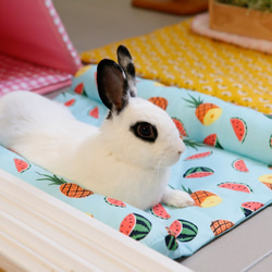 ゴロゴロクッション(ウサギ,ギニーピッグ,ハリネズミ用ベッド)-ピンクウサギ 10枚目の画像