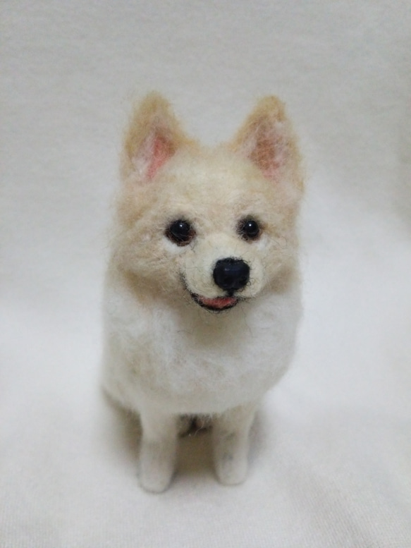 ショートカットのポメラニアンちゃん おもちゃ・ペット小物