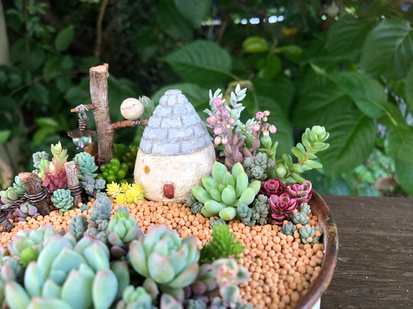 多肉植物　箱庭 maxresdefault.jpg