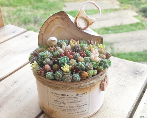 0_ec081b35575c7bb777ac1de3c6a4