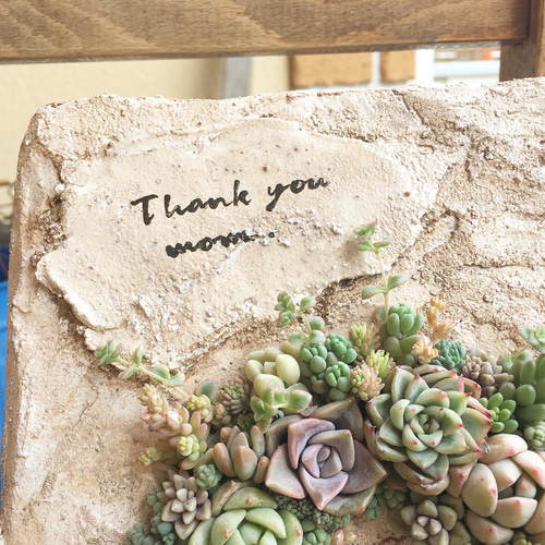 寄せ植え　多肉植物　寄せ植え　リース　p wed0041.jpg