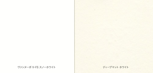 【2枚セット】酒井ひさお「想い消えず」活版印刷のポストカード・グリーティングカード/猫・ネコ・文鳥 6枚目の画像