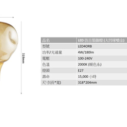 WeBulb ｜復古LED吊燈- 大凹球 / 造型燈絲燈泡+吸頂吊線燈頭[啞光鍍金] 第7張的照片