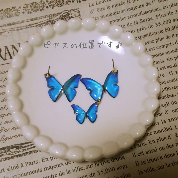 再✮ゆらゆら揺れる　BLUE　Butterfly　ｱｼﾝﾒﾄﾘｰPierce or Earring 5枚目の画像