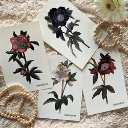 水彩画原画【水仙】A5サイズ イラスト atelier KARISH 通販 13301360