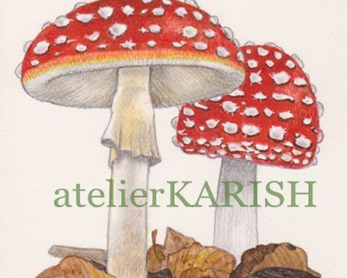 0_0e22b6464510fd91250c353c9d08