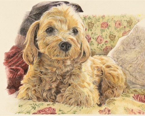 ペットの似顔絵オーダー受付専用 ペットの似顔絵オーダー受付専用