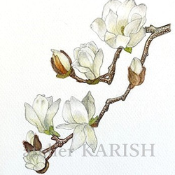 0_025df9e68a6292a6b0a47727a68d