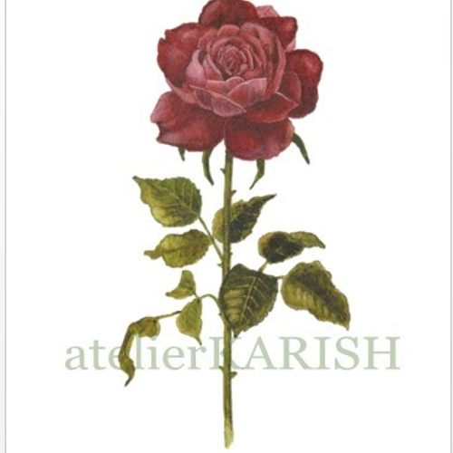 CHROMEHEARTS type☆A2額装済アートポスター#CH5★薔薇・バラ 2025年最新】クロムハーツ ポスターの人気アイテム - メルカリ