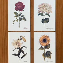選べる！組合せ自由ポストカード【Retro Flowers　初夏～夏　４枚セット】封筒付 2枚目の画像