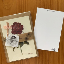選べる！組合せ自由ポストカード【Retro Flowers　初夏～夏　４枚セット】封筒付 3枚目の画像