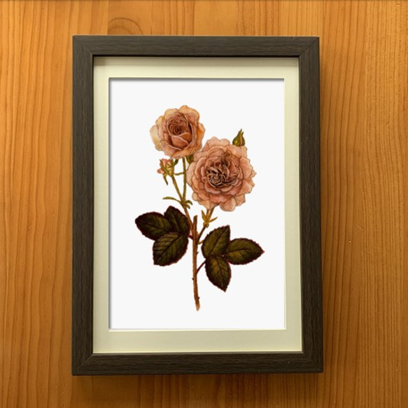 アートポスター【レトロな薔薇　04】A4サイズ複製画 1枚目の画像
