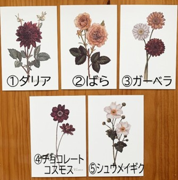 枚数も選べる！組合せ自由ポストカード【Retro Flowers　秋（5柄のうち4枚または５枚】封筒付 2枚目の画像