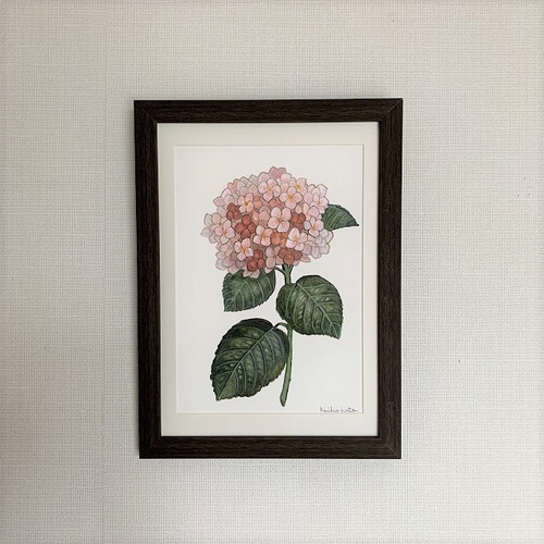 あじさい1 水彩画 原画（透明水彩画 原画 「薄紫のアジサイ