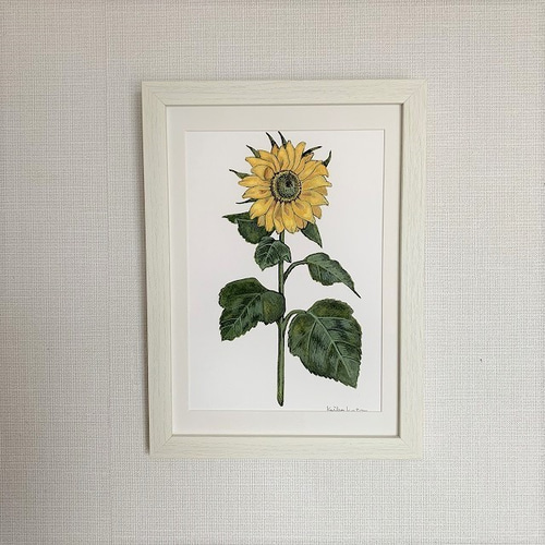 半額SALE！水彩画原画【レトロなひまわり 01】 絵画 atelier