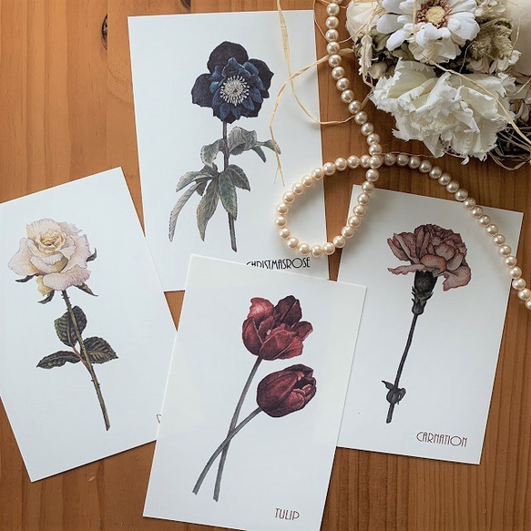 ポストカード【Simple and chic Flowers 4枚セット】封筒付 1枚目の画像