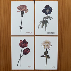 ポストカード【Simple and chic Flowers 4枚セット】封筒付 3枚目の画像