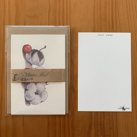 ポストカード【わたの実　4枚セット】封筒付 3枚目の画像