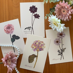 ポストカード【Favorite Flowers 4枚セット】封筒付 1枚目の画像