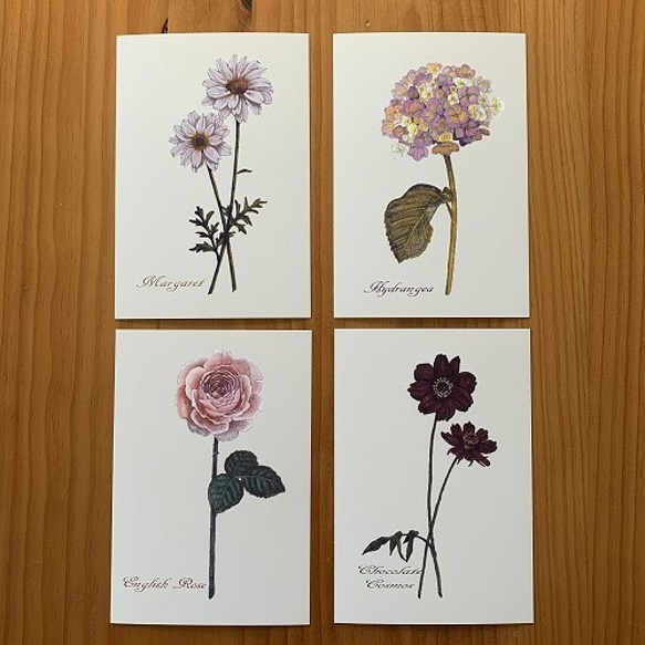 ポストカード【Favorite Flowers 4枚セット】封筒付 2枚目の画像