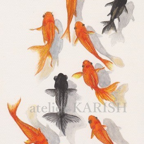 水彩画原画【金魚 01】送料無料! 絵画 atelier KARISH 通販 水彩画原画【金魚 01】送料無料! 絵画 atelier KARISH 通販