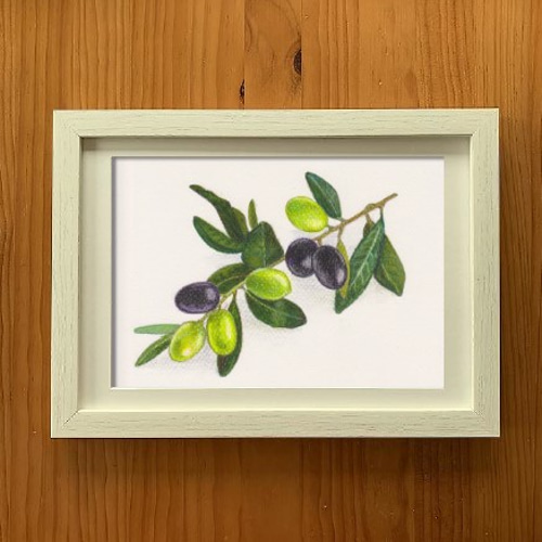 色鉛筆画原画【オリーブ】 絵画 atelier KARISH 通販 9996007｜Creema