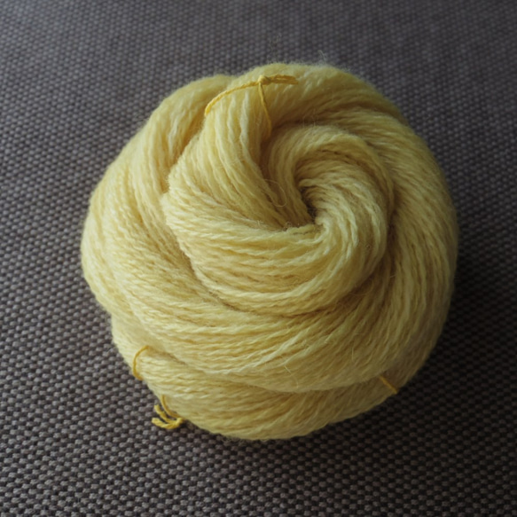 (44) 手紡ぎ糸 草木染め（どくだみ）シェットランド双糸（Ａ） 1枚目の画像