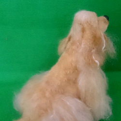 アメリカンコッカスパニエル(羊毛わんこ) 2枚目の画像