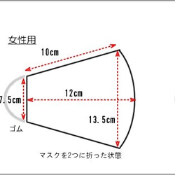 ★可以多次清洗★帶濾袋♪固體口罩（男士專用）/復古相機藍色 第4張的照片