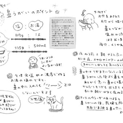 鼻うがい用　塩計量スプーン　鼻炎のあなたに伝えたい！ 7枚目の画像