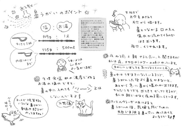 鼻うがい用　塩計量スプーン　鼻炎のあなたに伝えたい！ 7枚目の画像