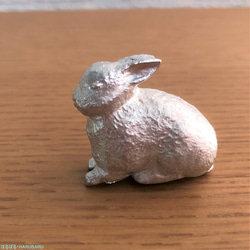 增加了新姿勢：錫兔也可以用作盆栽植物的點綴 第11張的照片