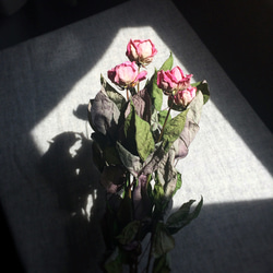 【お値下中！】ピンクローズのドライフラワー◇スワッグ   花材 6枚目の画像