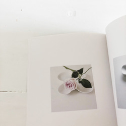 バラの花と器のフォトブック「 la nouvelle image  無口なバラ 」（ZINE） 3枚目の画像