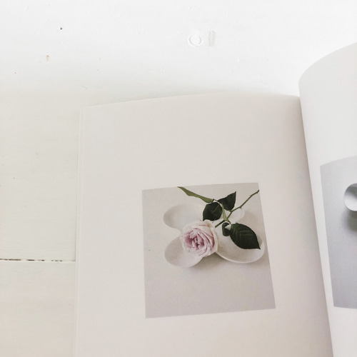 バラの花と器のフォトブック「 la nouvelle image 無口なバラ 」（ZINE