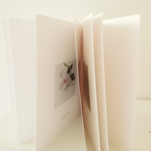 バラの花と器のフォトブック「 la nouvelle image 無口なバラ 」（ZINE
