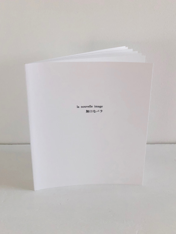 バラの花と器のフォトブック「 la nouvelle image 無口なバラ 」（ZINE