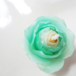 light green rose 3枚目の画像